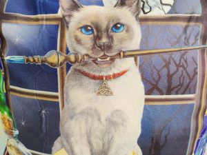 Cuscino "Lisa Parker" Hocus Pocus cat